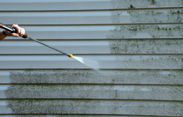 Best Patio and Deck Pressure Washing  in Newaygo, MI