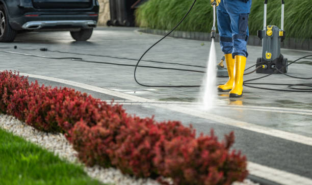 Best Driveway Pressure Washing  in Newaygo, MI